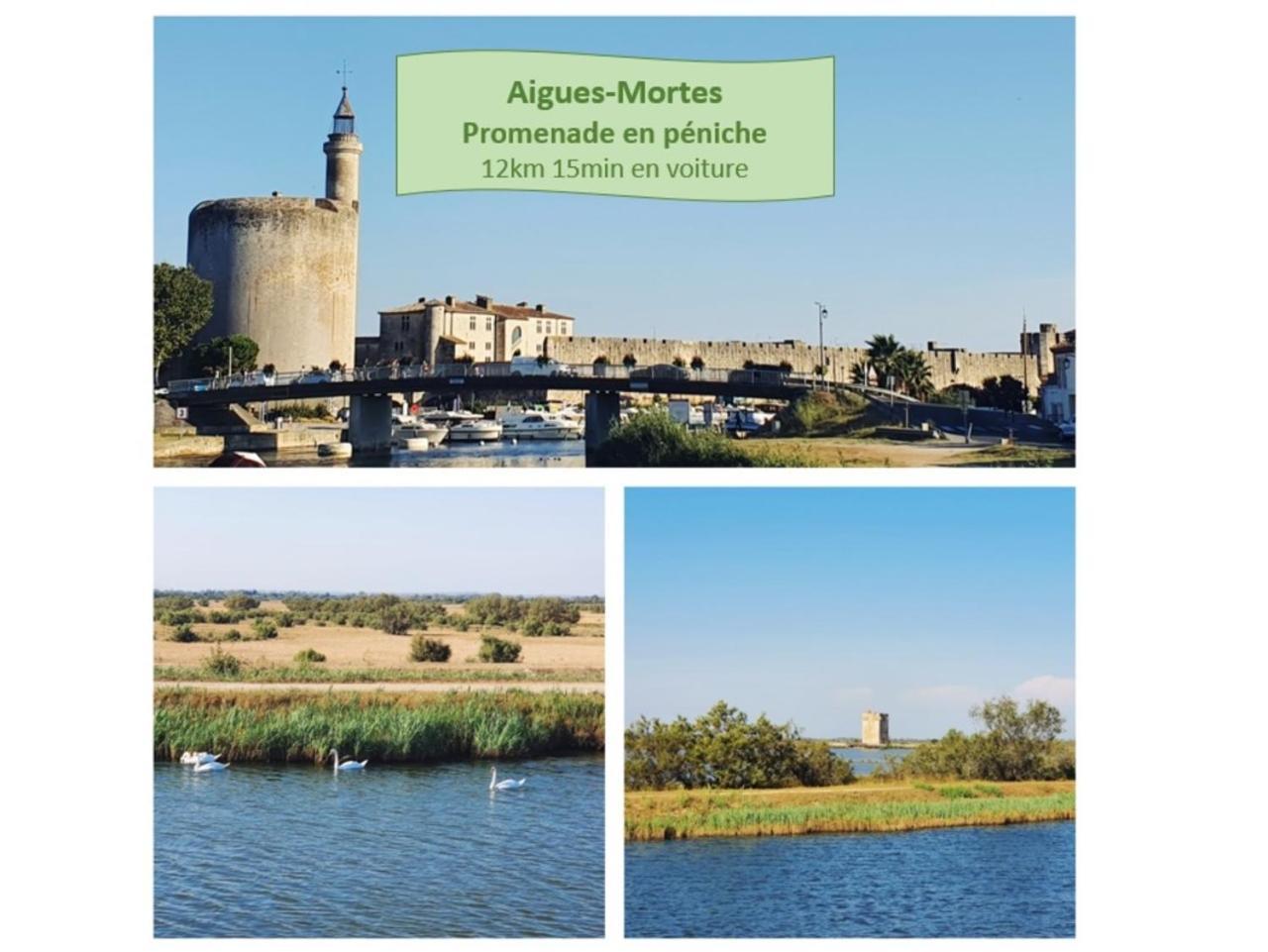 T2 West City Parking Clim Wifi 4Pers - Rossiconciergerie - Linge Inclus La Grande-Motte Eksteriør bilde