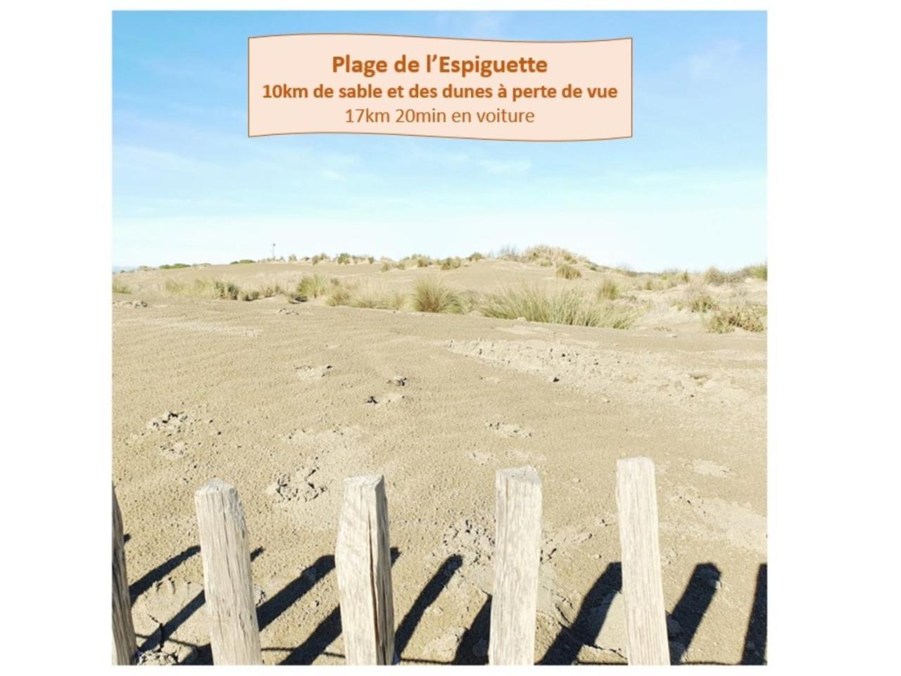 T2 West City Parking Clim Wifi 4Pers - Rossiconciergerie - Linge Inclus La Grande-Motte Eksteriør bilde