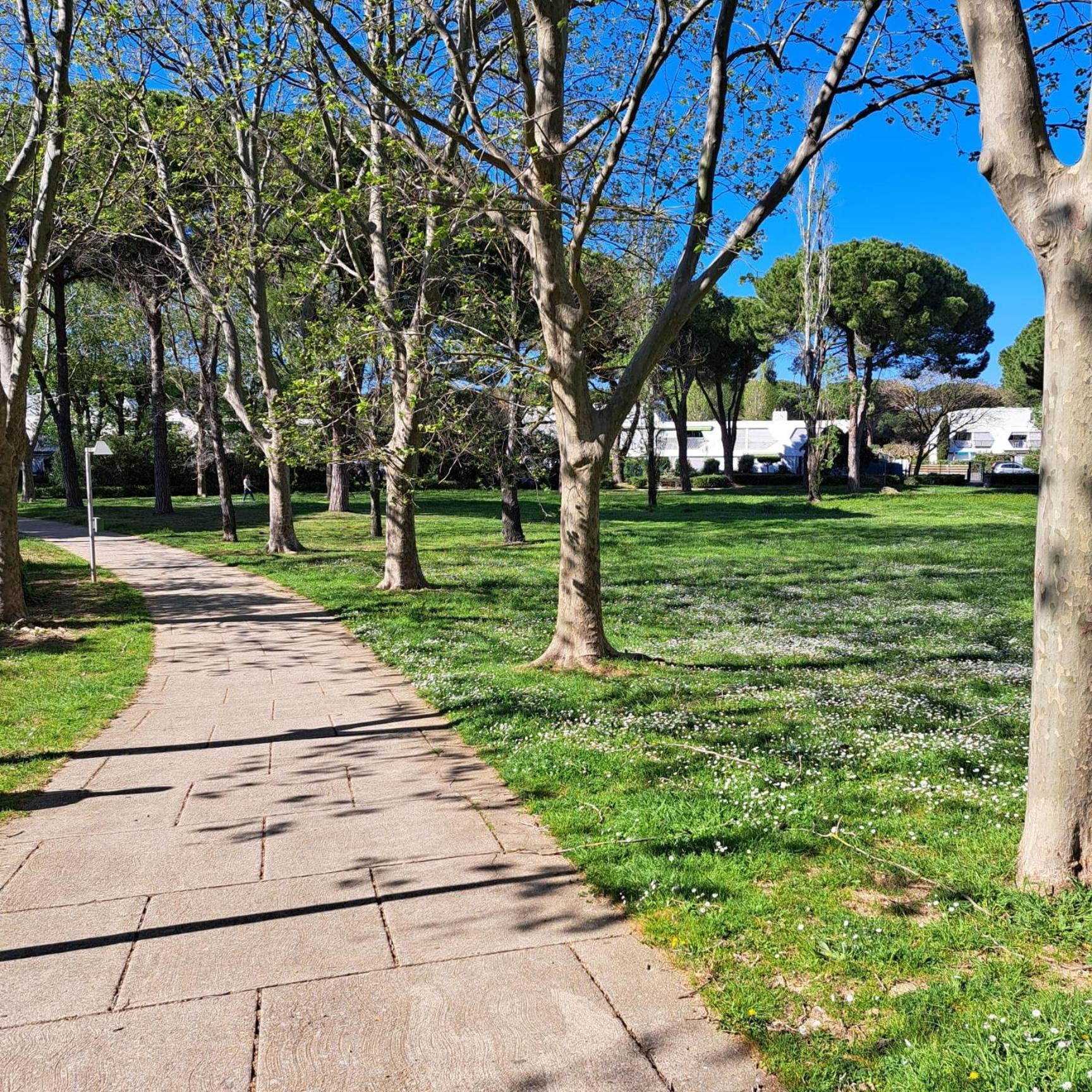 T2 West City Parking Clim Wifi 4Pers - Rossiconciergerie - Linge Inclus La Grande-Motte Eksteriør bilde